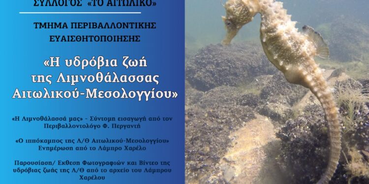 Εκδήλωση με θέμα “Η Υδρόβια Ζωή της Λιμνοθάλασσας Αιτωλικού – Μεσολογγίου”