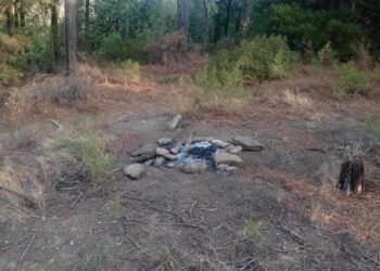 Αγρίνιο: Κρούσμα αδιανόητης αδιαφορίας και εγκληματικής ανευθυνότητας στο δασύλλιο του Αγίου Χριστοφόρου!