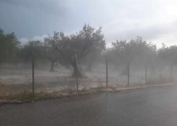 Δυνατό μπουρίνι έπληξε το Αγρίνιο – Σε εγρήγορση για τα προβλήματα οι Αρχές.