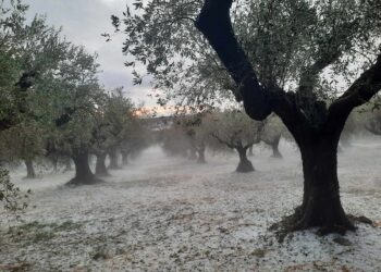 Δυνατό μπουρίνι έπληξε το Αγρίνιο – Σε εγρήγορση για τα προβλήματα οι Αρχές.