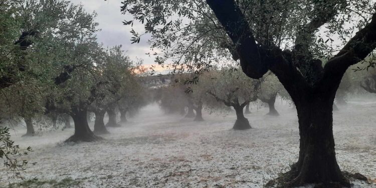 Δυνατό μπουρίνι έπληξε το Αγρίνιο – Σε εγρήγορση για τα προβλήματα οι Αρχές.