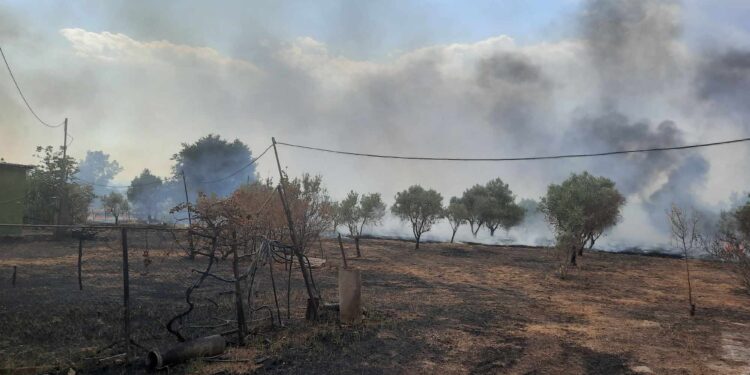 Φωτιά σε εξέλιξη στην περιοχή Γιαννούζι Αγρινίου δίπλα σε σπίτια