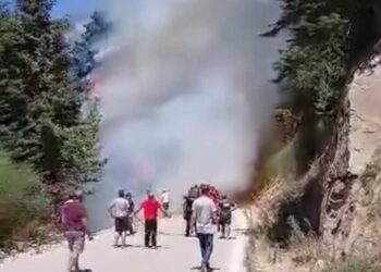 Φωτιά σε δασική έκταση στο Θέρμο Αιτωλοακαρνανίας – Επιχειρούν εναέρια