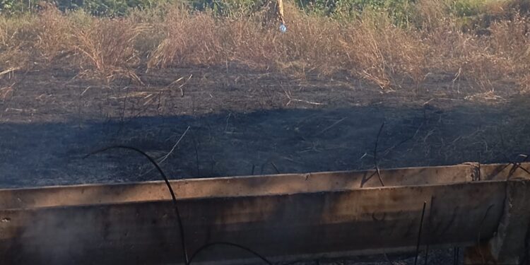 Υπό έλεγχο η φωτιά στα Αμπάρια Παναιτωλίου