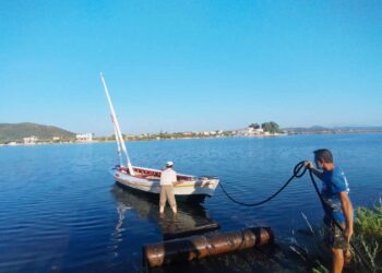 To νέο σταφνοκάρι που κοσμεί την παραλία του Αιτωλικού  στα νερά της λιμνοθάλασσας