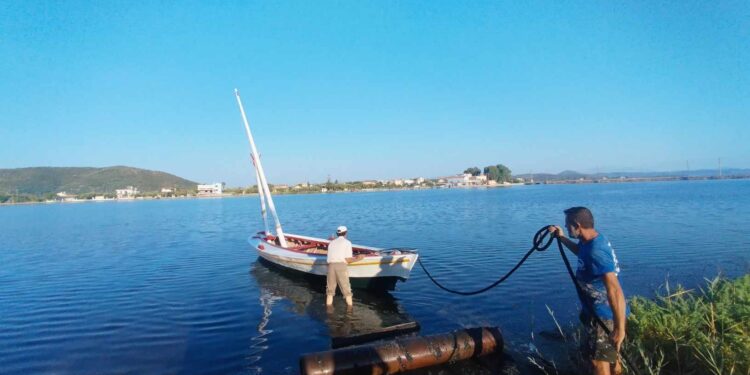 To νέο σταφνοκάρι που κοσμεί την παραλία του Αιτωλικού  στα νερά της λιμνοθάλασσας