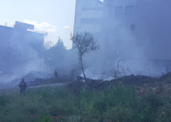 Φωτιά στα Τριαντέικα κοντά σε οικίες(φωτο)