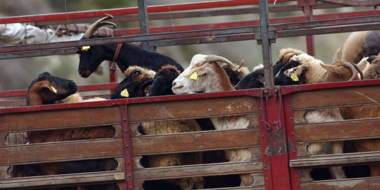 Σταδιακή άρση των περιορισμών που επιβλήθηκαν μετά τα κρούσματα πανώλης