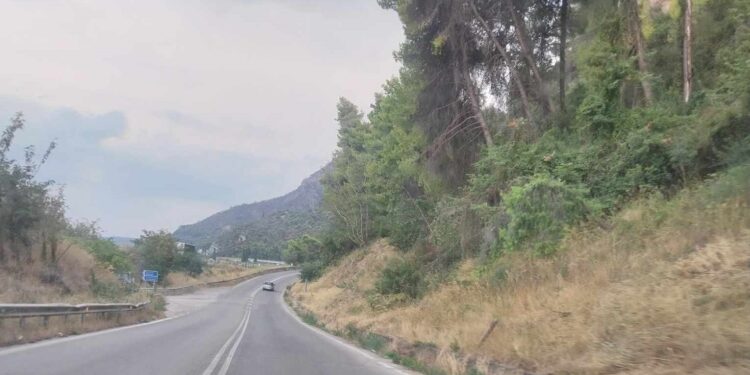 Σκιαδαρέσης: Σε «φιάσκο» εξελίχθηκε η απόφαση να κλείσει για προληπτικούς λόγους την Π.Ε.Ο. Πατρών- Κορίνθου