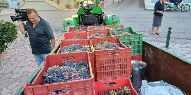 Επιτυχημένη Γιορτή Τρύγου & Κρασιού στο Πετροχώρι Θέρμου!