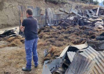 Αιτωλοακαρνανία: Κεραυνός σκότωσε 150 ζώα σε κτηνοτροφική μονάδα – Από τύχη γλίτωσε ο ιδιοκτήτης