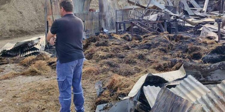 Αιτωλοακαρνανία: Κεραυνός σκότωσε 150 ζώα σε κτηνοτροφική μονάδα – Από τύχη γλίτωσε ο ιδιοκτήτης