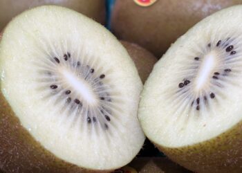 Α. Σ. Νεάπολης: νέες θέσεις εργασίας στο Τμήμα Ποιοτικού Ελέγχου Φρούτων 