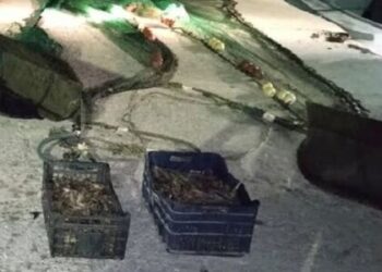 Κατασχέθηκαν τρατάκια και γαρίδες στον Αμβρακικό!