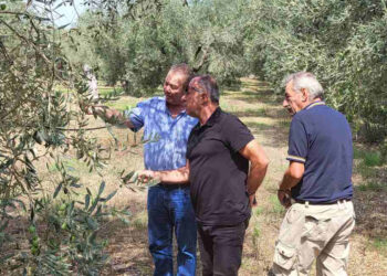 Αγρίνιο_Περιοδεία του ΚΚΕ στις πληγείσες από χαλάζι περιοχές