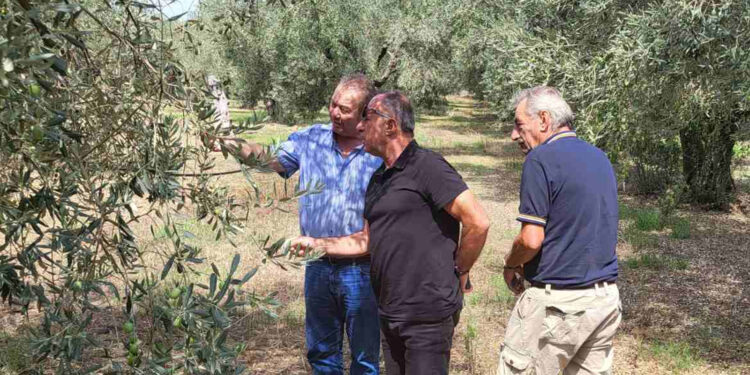 Αγρίνιο_Περιοδεία του ΚΚΕ στις πληγείσες από χαλάζι περιοχές