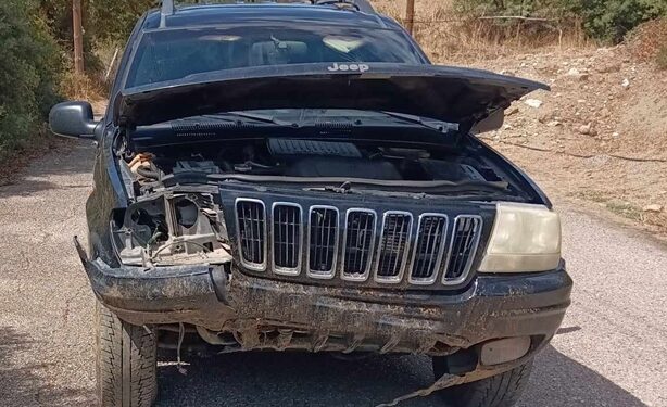 Αμφιλοχία: Τρόμος για οδηγό – Βούτηξε σε γκρεμό εξαιτίας αγέλης άγριων αλόγων