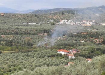 Κινητοποίηση της πυροσβετικής για φωτιά κοντά στην Καμαρούλα