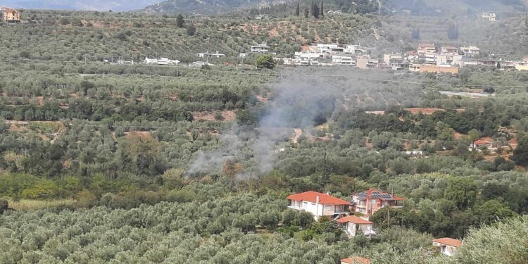 Κινητοποίηση της πυροσβετικής για φωτιά κοντά στην Καμαρούλα