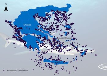 Αιτωλ/νία: Καρχαρίες και σαλάχια στις ελληνικές θάλασσες – Δείτε τον χάρτη