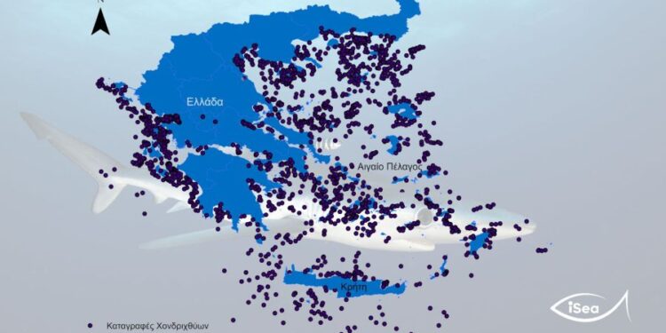 Αιτωλ/νία: Καρχαρίες και σαλάχια στις ελληνικές θάλασσες – Δείτε τον χάρτη