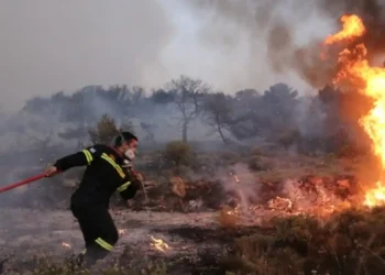 Φωτιά στη Λεύκα Αγρινίου-Κινδύνευσε αποθήκη κάηκαν και 500 κυψέλες