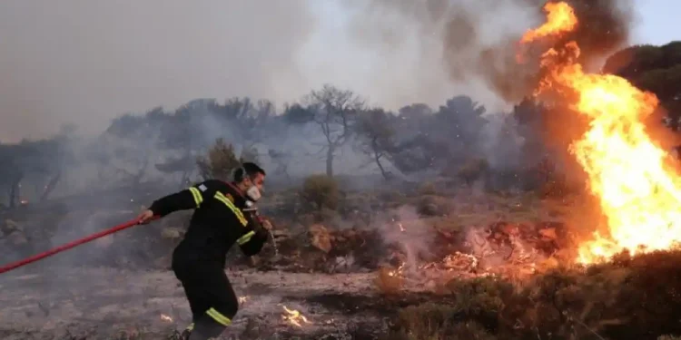 Φωτιά στη Λεύκα Αγρινίου-Κινδύνευσε αποθήκη κάηκαν και 500 κυψέλες