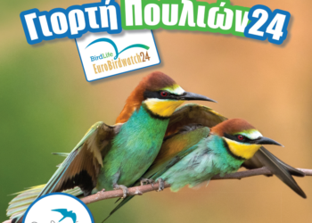 Ευρωπαϊκή Γιορτή Πουλιών 2024 στο Εθνικό Πάρκο Λιμνοθαλασσών Μεσολογγίου – Αιτωλικού