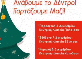 Φωταγώγηση των χριστουγεννιάτικων δέντρων σε Πάλαιρο-Βόνιτσα-Κατούνα