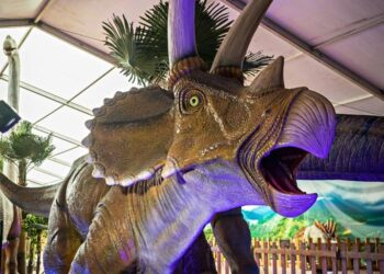 DINOSAURS LIVE : Ρομποτικοί Δεινόσαυροι σε Πραγματικές Διαστάσεις στο Αγρίνιο