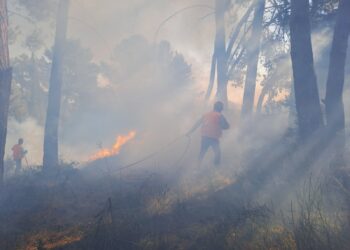 Μία πολύ επικίνδυνη φωτιά ξέσπασε στο δασύλλιο Φυτειών