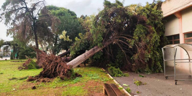 Αυτοψία στις περιοχές που επλήγησαν από την κακοκαιρία και τον ανεμοστρόβιλο πραγματοποίησαν στελέχη της Δημοτικής Αρχής Αγρινίου