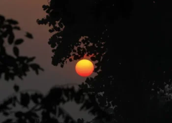 Το Χειμερινό Ηλιοστάσιο στις Οινιάδες