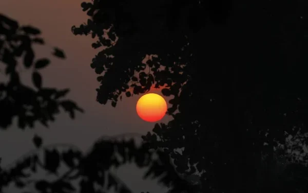 Το Χειμερινό Ηλιοστάσιο στις Οινιάδες