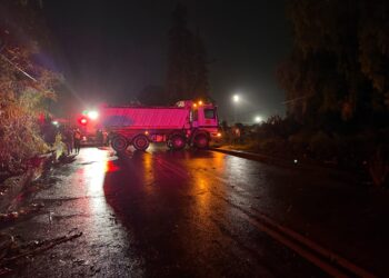 Αγρίνιο-Κακοκαιρία: Καταστροφές και πτώσεις δέντρων από τον ισχυρό αέρα