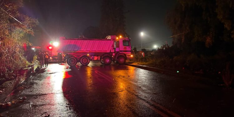 Αγρίνιο-Κακοκαιρία: Καταστροφές και πτώσεις δέντρων από τον ισχυρό αέρα