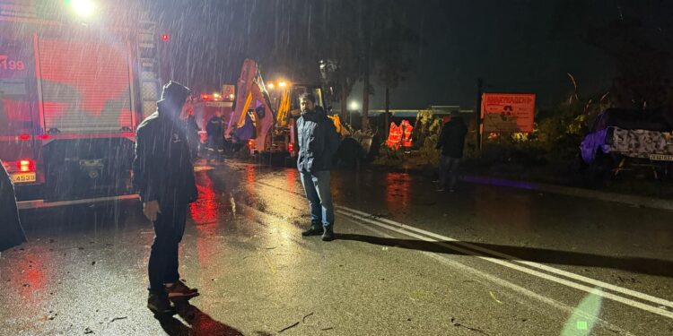 Αγρίνιο-Κακοκαιρία: Καταστροφές και πτώσεις δέντρων από τον ισχυρό αέρα