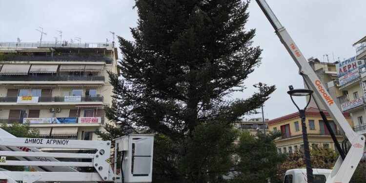 Αγρίνιο: Στήθηκε το Χριστουγεννιάτικο δέντρο στην πλατεία