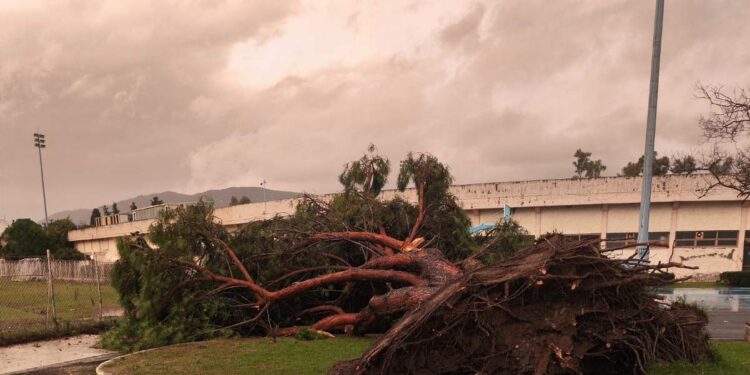 Αγρίνιο: Εκκενώθηκε το ΔΑΚ-Μεγάλες ζημιές στο γήπεδο Δοκιμίου