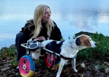 Η Ζέτα Μακρυπούλια στη λίμνη Τριχωνίδα με τη σκυλίτσα του Μιχάλη Χατζηγιάννη