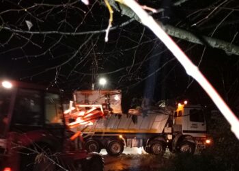 Πτώσεις δέντρων στην περιοχή της Γαβαλούς Αγρινίου