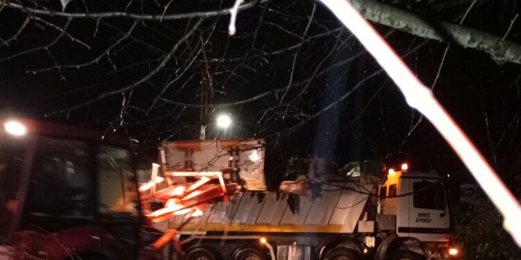 Πτώσεις δέντρων στην περιοχή της Γαβαλούς Αγρινίου