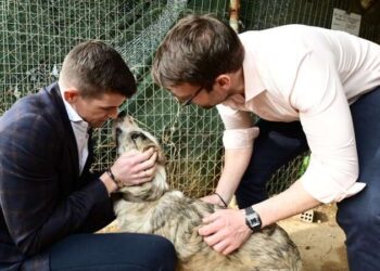 Χωρίζουν Κασσελάκης και Τάιλερ Μακμπέθ;