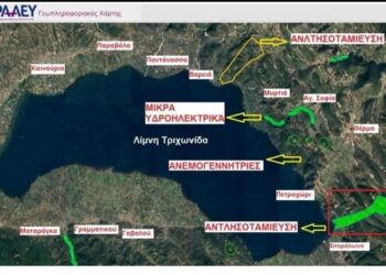 Μετά την εγκατάλειψη τι ακολουθεί; …