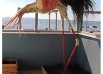 Η “Διέξοδος” στην αγκαλιά των φίλων της