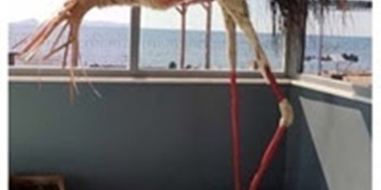 Η “Διέξοδος” στην αγκαλιά των φίλων της