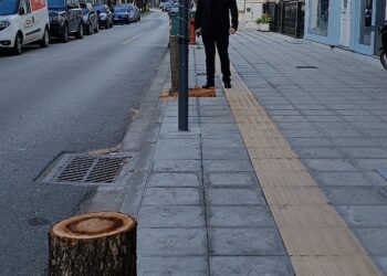 Δ. Τραπεζιώτης: «Έγκλημα στο δρόμο …… με την κοπή των δέντρων…. στο Αγρίνιο»