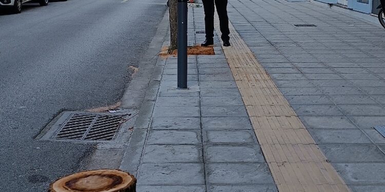 Δ. Τραπεζιώτης: «Έγκλημα στο δρόμο …… με την κοπή των δέντρων…. στο Αγρίνιο»