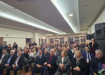 Εκδήλωση κοπής πίτας ΔΕΕΠ ΝΔ Λευκάδας