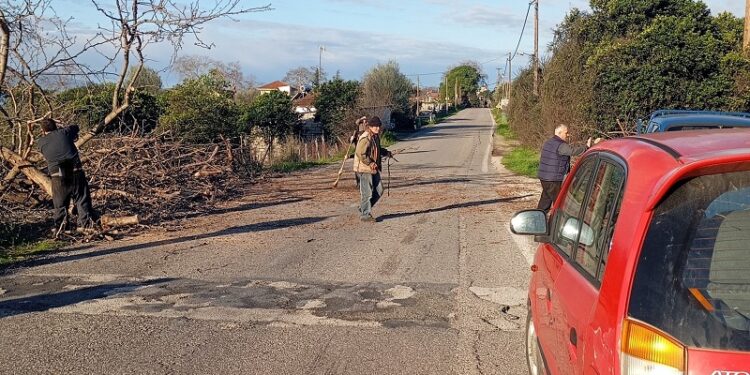 Πτώση πλατάνου στην Ε.Ο. Αγρινίου-Θέρμου